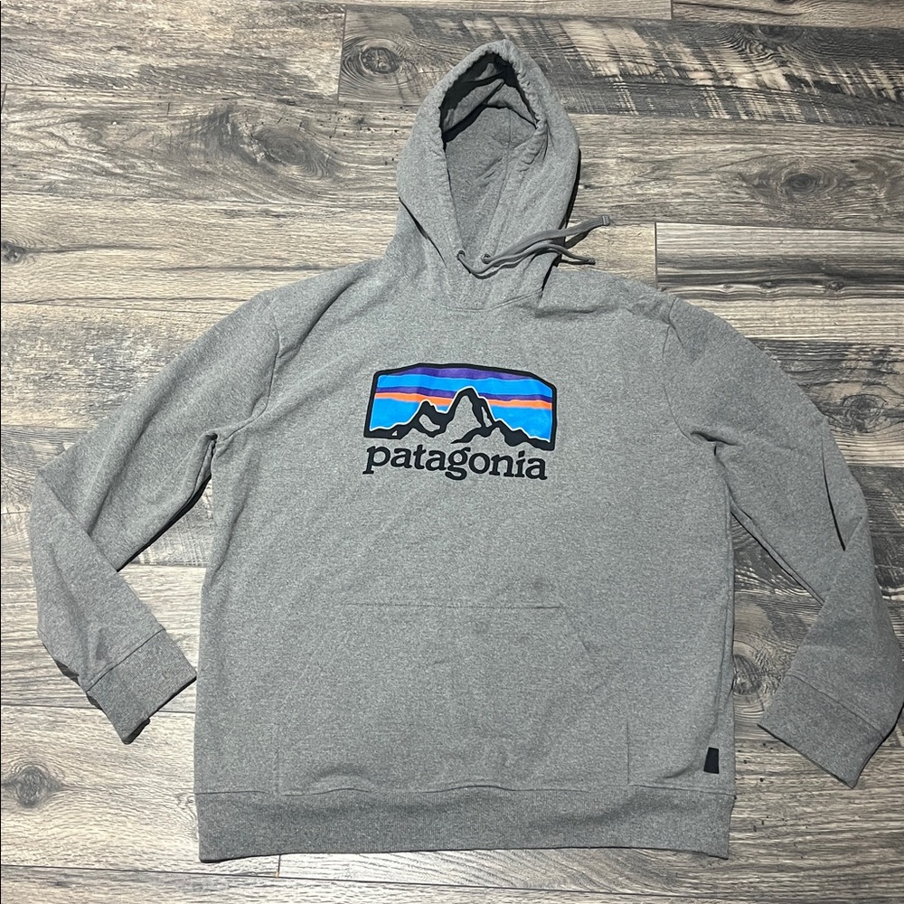 Patagonia Gray Hoodie with Mountain Logo